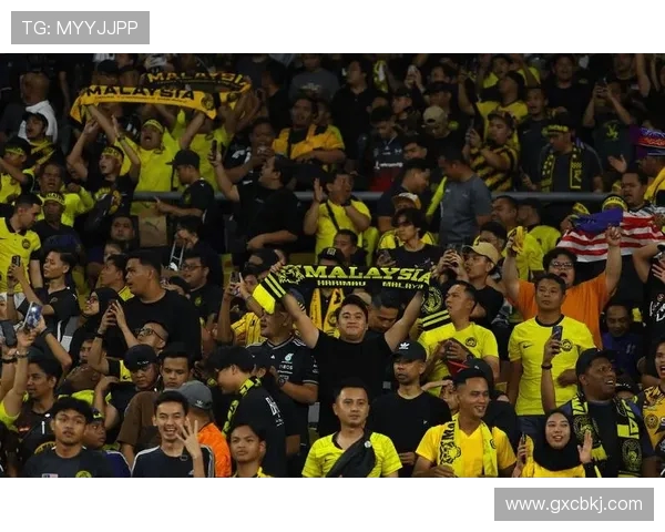 马来西亚足协秘书长遭停职 官方将设独立委员会彻查归化球员问题