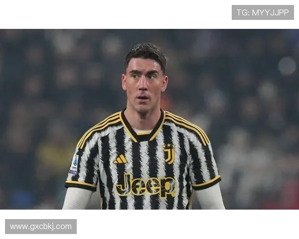 都体：弗拉霍维奇遭遇左腿拉伤，预计将缺阵至今年年底